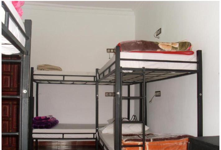 Hostel The Atlas Lion タンジェ エクステリア 写真