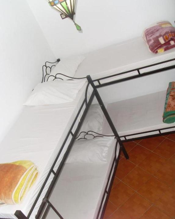 Hostel The Atlas Lion タンジェ エクステリア 写真