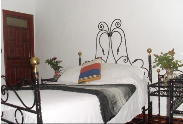 Hostel The Atlas Lion タンジェ エクステリア 写真